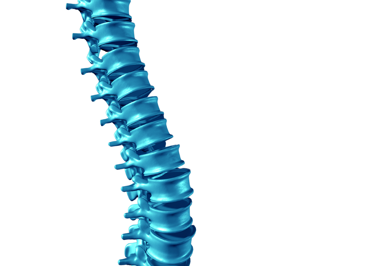 Human Spine Concept